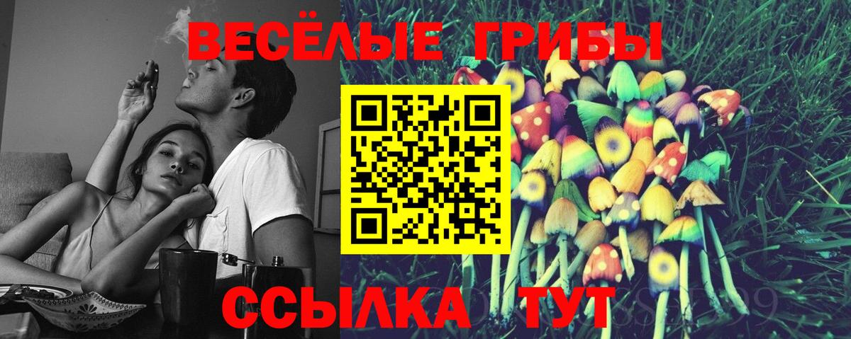 Галлюциногенные грибы прущие грибы  Галлюциногенные грибы Cubensis  Нижнеудинск  как найти   Вход с VPN 